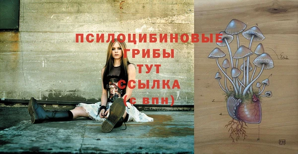 кокс Надым
