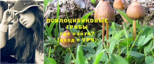 эйфоретик Навашино