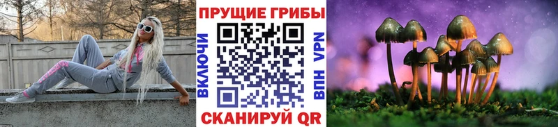 Галлюциногенные грибы Psilocybe  Купить где  Соликамск 